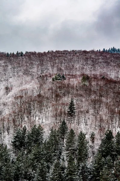 Hügel mit Schnee bedeckt — Stockfoto