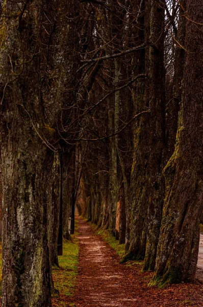 A trilha para Vrelo Bosne — Fotografia de Stock