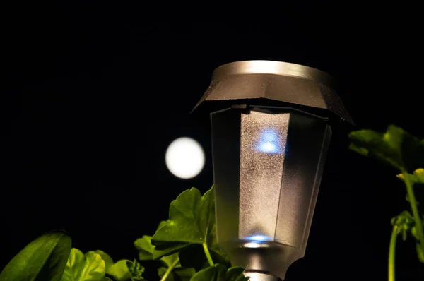A lâmpada na lua — Fotografia de Stock