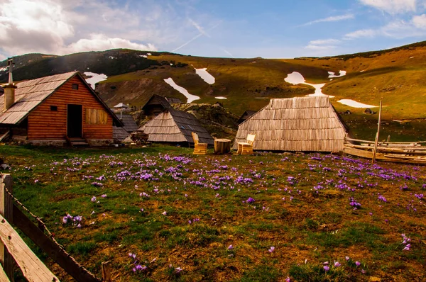 Prokosko Gölü nün kıyısında küçük evler — Stok fotoğraf