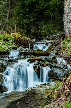 Küçük dağ dere Vranica üzerinde