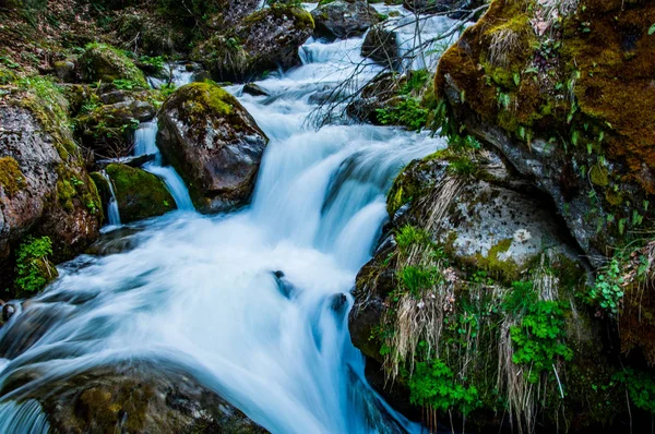 The small mountain stream on the Vranica — Stock Photo, Image