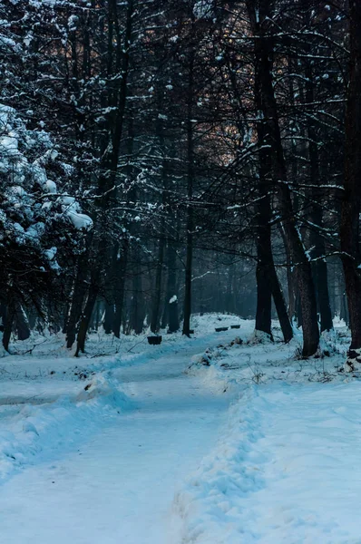 Vrelo Bosne pokryte śniegiem — Zdjęcie stockowe