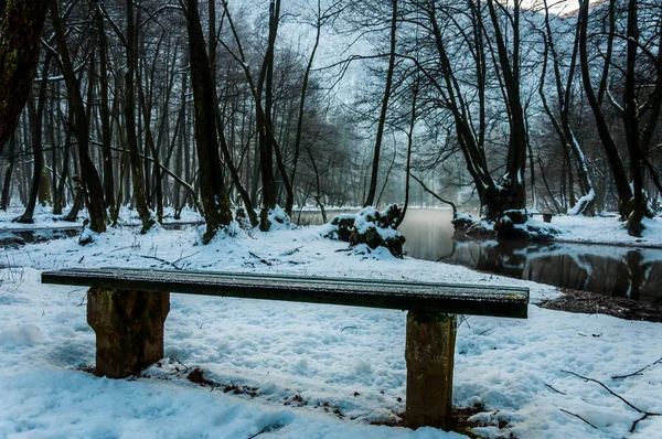 Vrelo Bosne cubierto de nieve — Foto de Stock