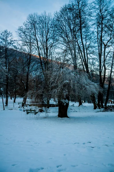 Vrelo Bosne által lefedett hó — Stock Fotó