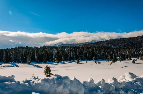 Igman の美しい山 — ストック写真
