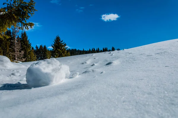 Igman の美しい山 — ストック写真