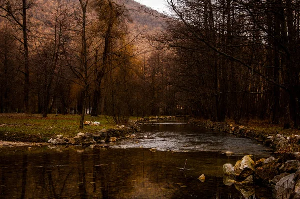 Park Vrelo Bosne — Stok fotoğraf
