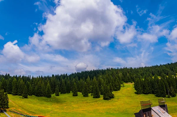 Montagna Igman in estate — Foto Stock