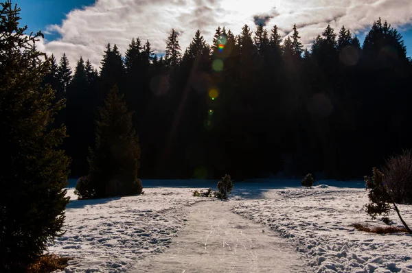 ボスニア ヘルツェゴビナ Igman その山の雪を歩道します — ストック写真