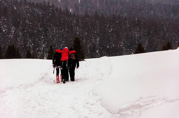Οικογένεια Που Περπατά Μέσα Από Χιόνι Στο Βοσνιακό Βουνό Φεβρουαρίου — Φωτογραφία Αρχείου