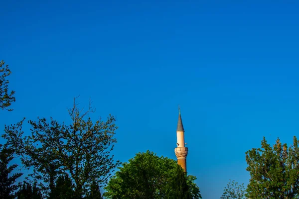 Minare ve ağaçlar gökyüzü — Stok fotoğraf