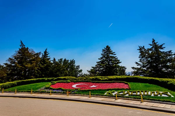 Bitkilerin Türk bayrağı — Stok fotoğraf