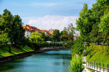 Bridge over the river Ljubljanica in Ljubljana
