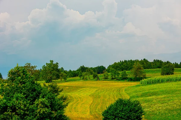 Fields and crops on a hill in Slovenia — Stok fotoğraf