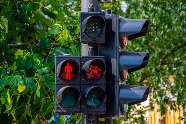 Luz de trânsito mostrando luz vermelha para caminhantes e ciclistas — Fotografia de Stock