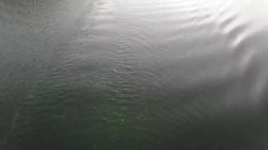 Suyun üzerindeki sürat teknesinden arta kalan bir iz. 