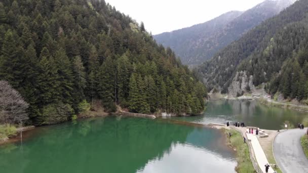 Río en la ubicación del lago Uzungol cerca de Trabzon — Vídeos de Stock