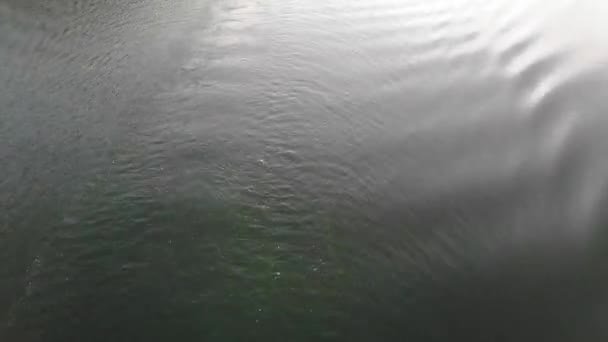 Un sentier reste du speadboat sur l'eau 