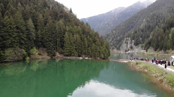 Rio na localização do lago Uzungol perto de Trabzon — Vídeo de Stock