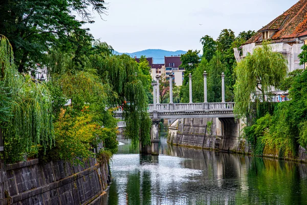 Utsikt Över Bron Spår Floden Ljubljanica Staden Ljubljana Slovenien — Stockfoto