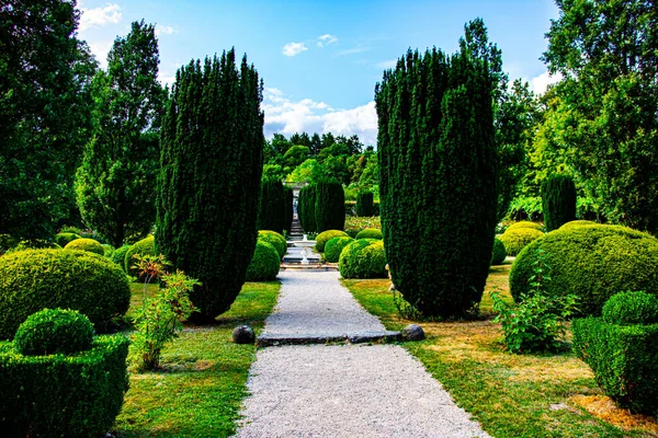 Almanya 'da farklı bitkilerin olduğu güzel bir bahçe.