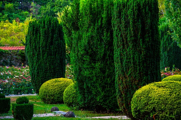 Kupressen Und Andere Zierpflanzen Schönen Garten Deutschland Stockbild