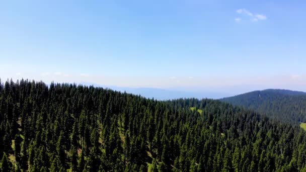 Arial Blick auf den Berg Vranica und großen Kiefernwald — Stockvideo