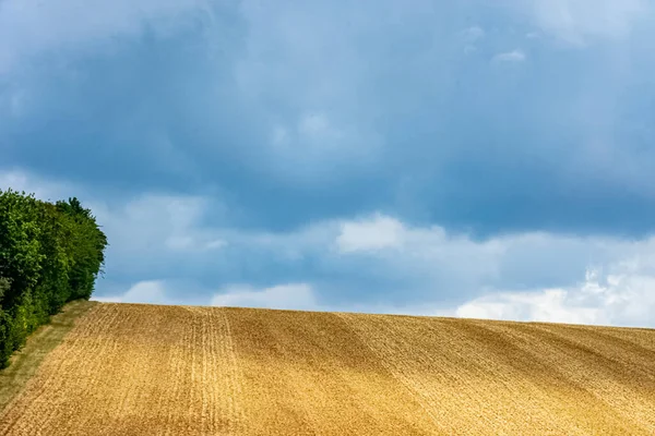 ドイツの小麦収穫後の黄金のフィールド — ストック写真