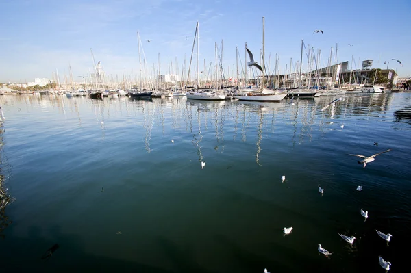 Yat liman Barcelona