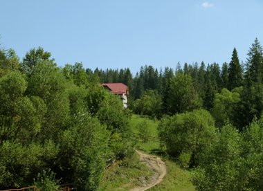 Karpat Dağları görünümünde eski Romence Köyü