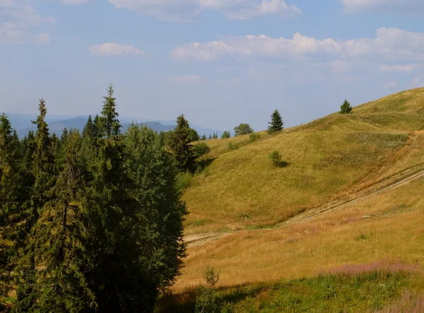 Красивый летний карпатский пейзаж, Украина, Европа — стоковое фото