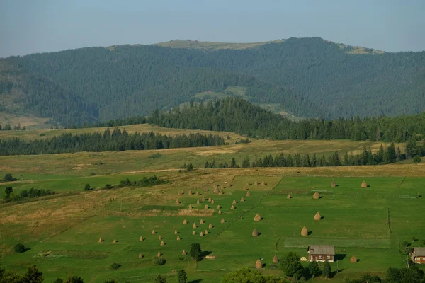 Haystacks en hermosa meseta de verano en la montaña de los Cárpatos . — Foto de Stock