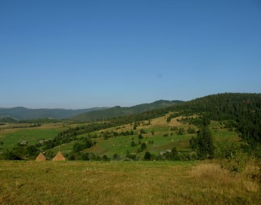 güzel yaz Karpat manzara, Ukrayna, Europe
