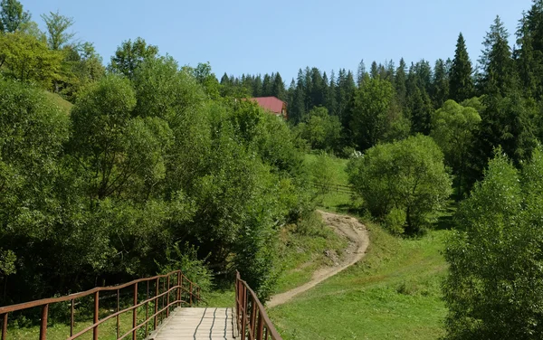 Старый румынский вид на деревню в Карпатах — стоковое фото