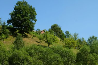Karpat Dağları görünümünde eski Romence Köyü