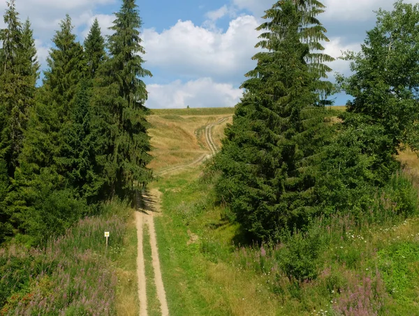 Beau paysage des Carpates d'été, Ukraine, Europe — Photo