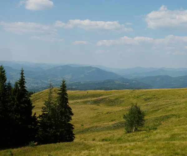 Красивый летний карпатский пейзаж, Украина, Европа — стоковое фото