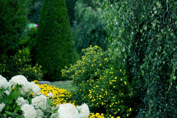 Belle conception de jardin d'été — Photo