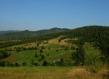 güzel yaz Karpat manzara, Ukrayna, Europe