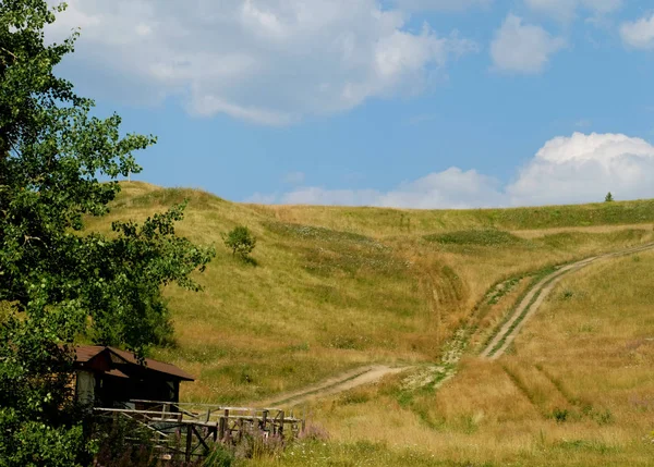 Όμορφο καλοκαιρινό τοπίο των Καρπαθίων, Ουκρανία, Ευρώπη — Φωτογραφία Αρχείου