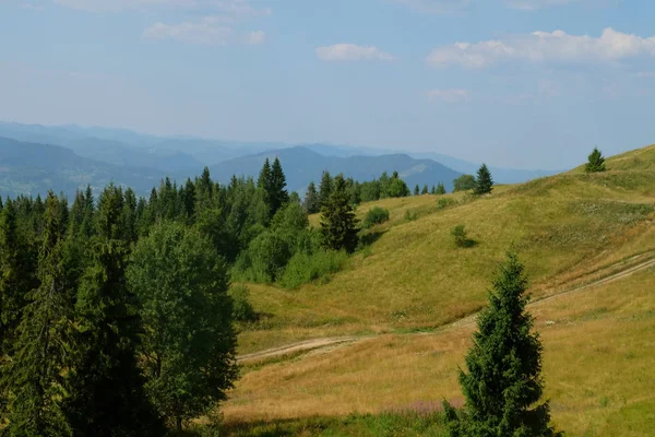 Vacker sommar Karpaterna landskap, Ukraina, Europa — Stockfoto