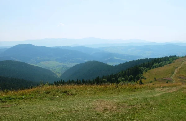 Красивый летний карпатский пейзаж, Украина, Европа — стоковое фото