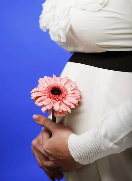 Retrato da jovem mulher grávida sorridente feliz com flor — Fotografia de Stock