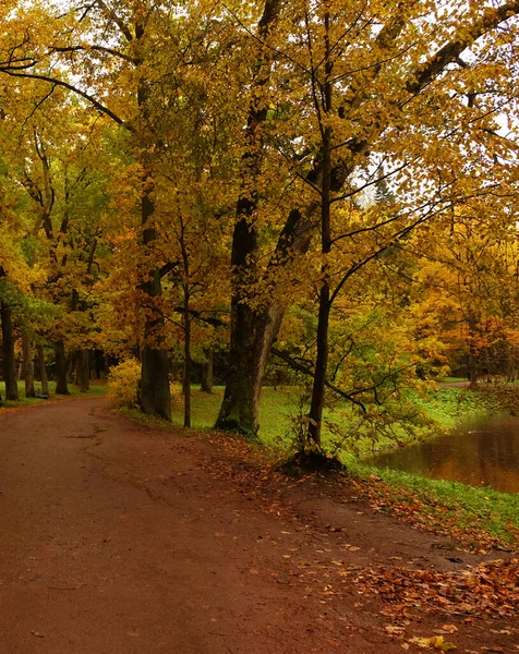 Parc d'automne. Arbres et feuilles d'automne. Paysage automne.Parc à l'automne . — Photo