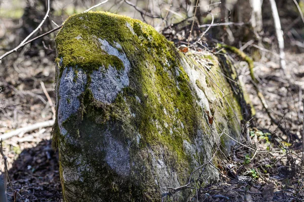 Rivier diep in bergbos. — Stockfoto