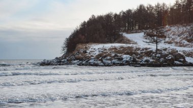 Bir siyah kum plajı üzerinde buz blokları