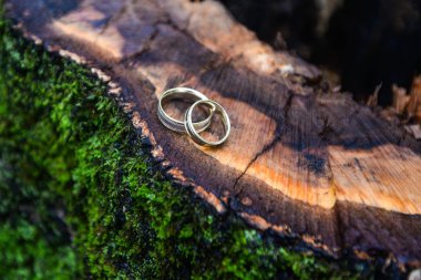 Alyans yalan üzerine ahşap kütük