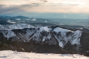 Dağlardaki kış ağaçları taze karla kaplıdır.
