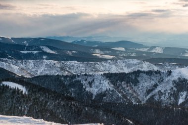 Dağlardaki kış ağaçları taze karla kaplıdır.